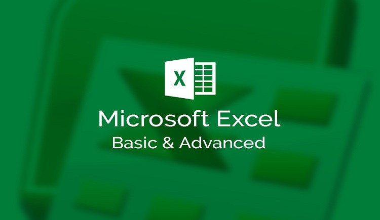 Microsoft Excel - Excel from Beginner to Advanced